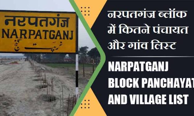 नरपतगंज ब्लॉक में कितने पंचायत और गांव लिस्ट | Narpatganj Block Panchayat and Village List