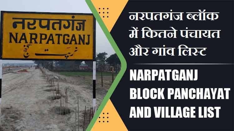 नरपतगंज ब्लॉक में कितने पंचायत और गांव लिस्ट | Narpatganj Block Panchayat and Village List