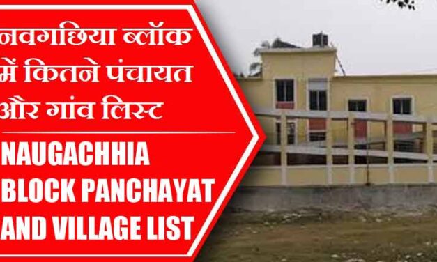 नवगछिया ब्लॉक में कितने पंचायत और गांव लिस्ट | Naugachhia Block Panchayat and Village List