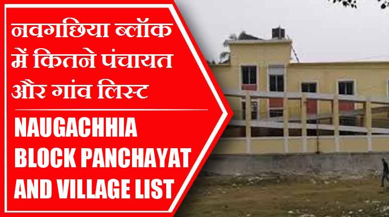 नवगछिया ब्लॉक में कितने पंचायत और गांव लिस्ट | Naugachhia Block Panchayat and Village List