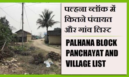पल्हना ब्लॉक में कितने पंचायत और गांव लिस्ट | Palhana Block Panchayat and Village List