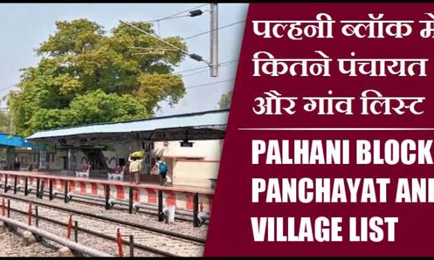 पल्हनी ब्लॉक में कितने पंचायत और गांव लिस्ट | Palhani Block Panchayat and Village List