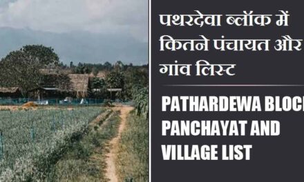 पथरदेवा ब्लॉक में कितने पंचायत और गांव लिस्ट | Pathardewa Block Panchayat and Village List