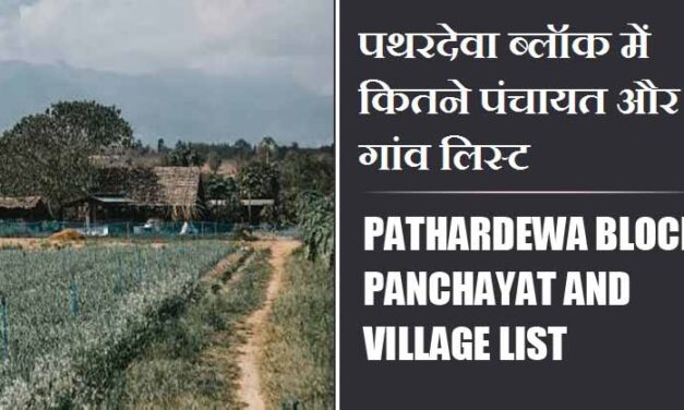 पथरदेवा ब्लॉक में कितने पंचायत और गांव लिस्ट | Pathardewa Block Panchayat and Village List