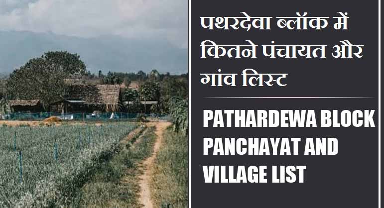 पथरदेवा ब्लॉक में कितने पंचायत और गांव लिस्ट | Pathardewa Block Panchayat and Village List