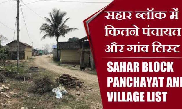 सहार ब्लॉक में कितने पंचायत और गांव लिस्ट | Sahar Block Panchayat and Village List