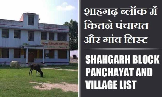 शाहगढ़ ब्लॉक में कितने पंचायत और गांव लिस्ट | Shahgarh Block Panchayat and Village List