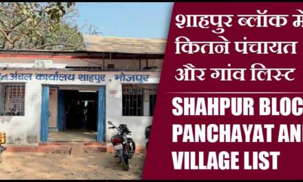 शाहपुर ब्लॉक में कितने पंचायत और गांव लिस्ट | Shahpur Block Panchayat and Village List
