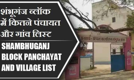 शंभूगंज ब्लॉक में कितने पंचायत और गांव लिस्ट | Shambhuganj Block Panchayat and Village List