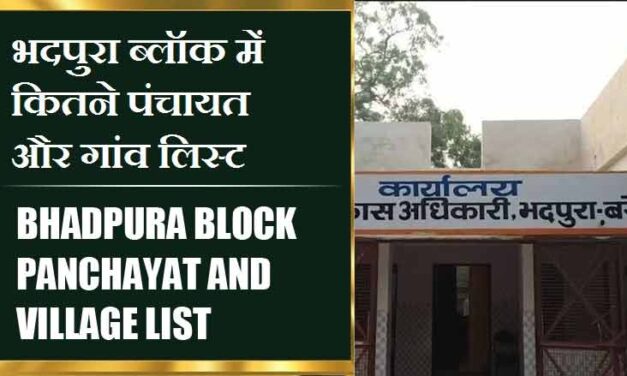 भदपुरा ब्लॉक में कितने पंचायत और गांव लिस्ट | Bhadpura Block Panchayat and Village List
