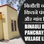 बिनौली ब्लॉक में कितने पंचायत और गांव लिस्ट | Binauli Block Panchayat and Village List