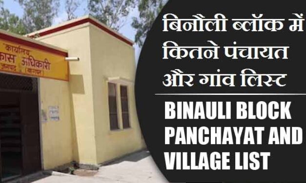 बिनौली ब्लॉक में कितने पंचायत और गांव लिस्ट | Binauli Block Panchayat and Village List