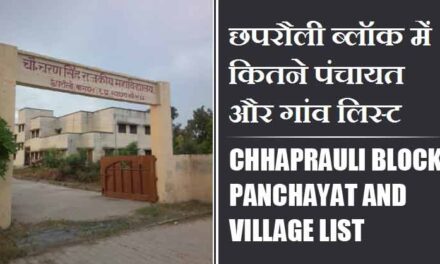 छपरौली ब्लॉक में कितने पंचायत और गांव लिस्ट | Chhaprauli Block Panchayat and Village List