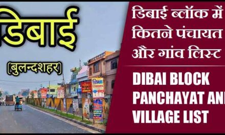 डिबाई ब्लॉक में कितने पंचायत और गांव लिस्ट | Dibai Block Panchayat and Village List