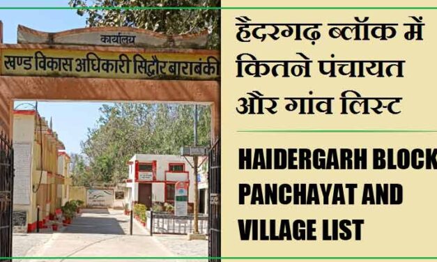 हैदरगढ़ ब्लॉक में कितने पंचायत और गांव लिस्ट | Haidergarh Block Panchayat and Village List