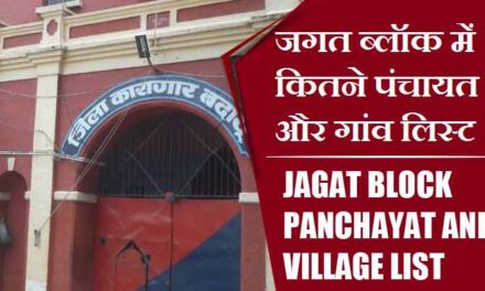 जगत ब्लॉक में कितने पंचायत और गांव लिस्ट | Jagat Block Panchayat and Village List
