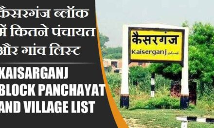कैसरगंज ब्लॉक में कितने पंचायत और गांव लिस्ट | Kaisarganj Block Panchayat and Village List