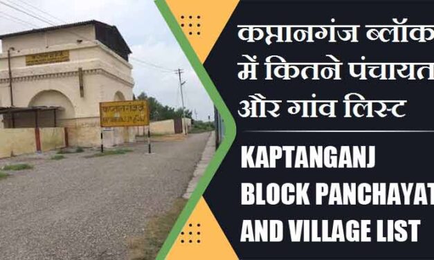 कप्तानगंज ब्लॉक में कितने पंचायत और गांव लिस्ट | Kaptanganj Block Panchayat and Village List