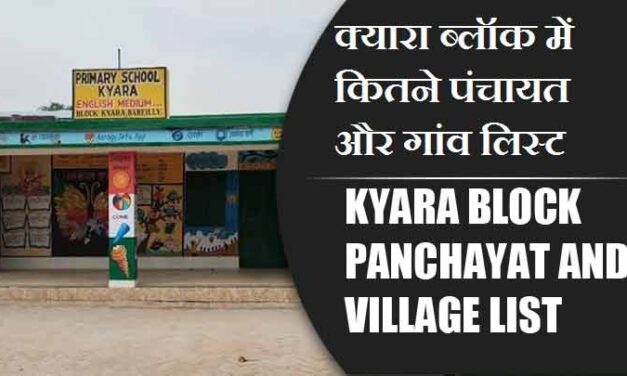 क्यारा ब्लॉक में कितने पंचायत और गांव लिस्ट | Kyara Block Panchayat and Village List