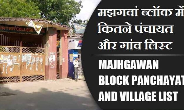 मझगवां ब्लॉक में कितने पंचायत और गांव लिस्ट | Majhgawan Block Panchayat and Village List