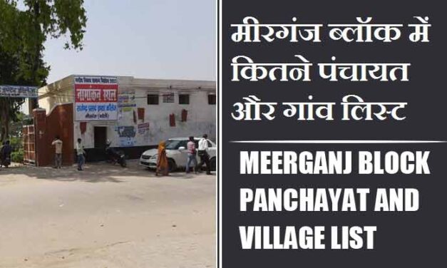 मीरगंज ब्लॉक में कितने पंचायत और गांव लिस्ट | Meerganj Block Panchayat and Village List