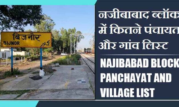 नजीबाबाद ब्लॉक में कितने पंचायत और गांव लिस्ट | Najibabad Block Panchayat and Village List