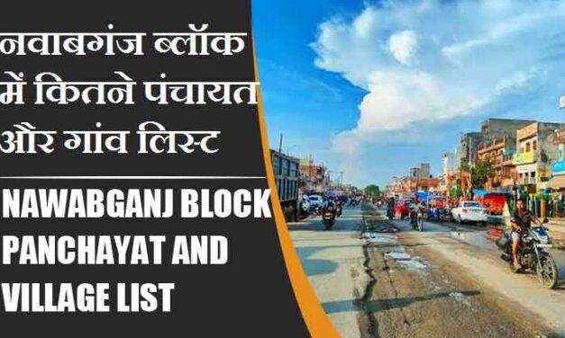 नवाबगंज ब्लॉक में कितने पंचायत और गांव लिस्ट | Nawabganj Block Panchayat and Village List