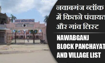 नवाबगंज ब्लॉक में कितने पंचायत और गांव लिस्ट | Nawabganj Block Panchayat and Village List