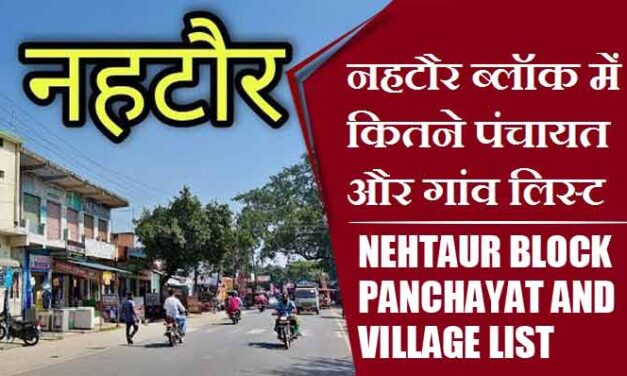 नहटौर ब्लॉक में कितने पंचायत और गांव लिस्ट | Nehtaur Block Panchayat and Village List