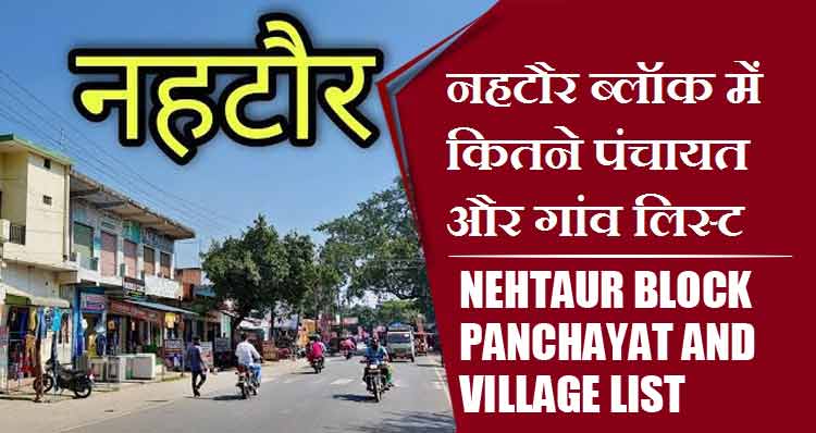 नहटौर ब्लॉक में कितने पंचायत और गांव लिस्ट | Nehtaur Block Panchayat and Village List