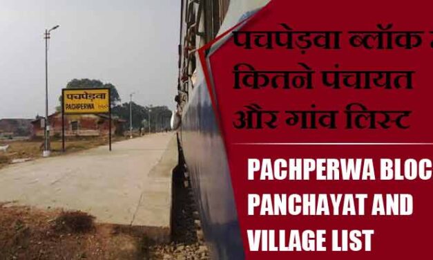 पचपेड़वा ब्लॉक में कितने पंचायत और गांव लिस्ट | Pachperwa Block Panchayat and Village List