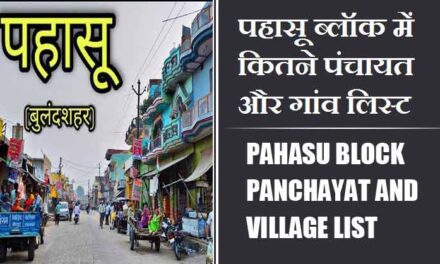 पहासू ब्लॉक में कितने पंचायत और गांव लिस्ट | Pahasu Block Panchayat and Village List