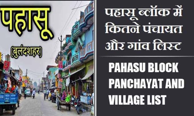 पहासू ब्लॉक में कितने पंचायत और गांव लिस्ट | Pahasu Block Panchayat and Village List
