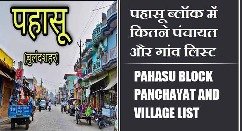 पहासू ब्लॉक में कितने पंचायत और गांव लिस्ट | Pahasu Block Panchayat and Village List