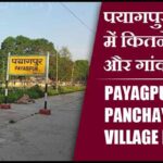 पयागपुर ब्लॉक में कितने पंचायत और गांव लिस्ट | Payagpur Block Panchayat and Village List