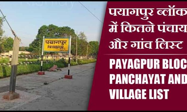 पयागपुर ब्लॉक में कितने पंचायत और गांव लिस्ट | Payagpur Block Panchayat and Village List