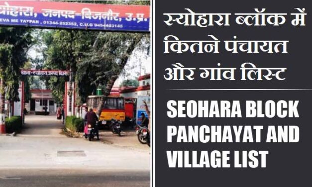 स्योहारा ब्लॉक में कितने पंचायत और गांव लिस्ट | Seohara Block Panchayat and Village List