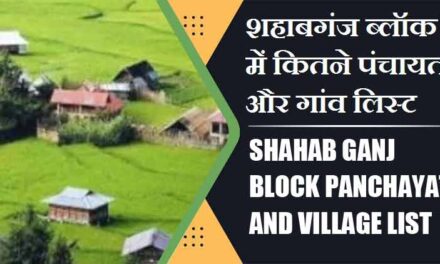 शहाबगंज ब्लॉक में कितने पंचायत और गांव लिस्ट | Shahab Ganj Block Panchayat and Village List