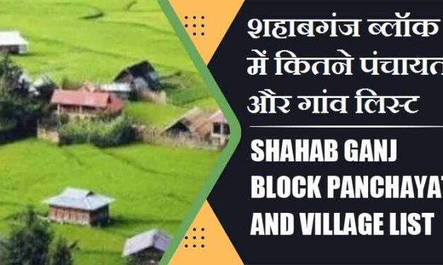 शहाबगंज ब्लॉक में कितने पंचायत और गांव लिस्ट | Shahab Ganj Block Panchayat and Village List