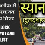 स्याना ब्लॉक में कितने पंचायत और गांव लिस्ट | Syana Block Panchayat and Village List