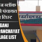 त्रिवेदीगंज ब्लॉक में कितने पंचायत और गांव लिस्ट | Trivediganj Block Panchayat and Village List