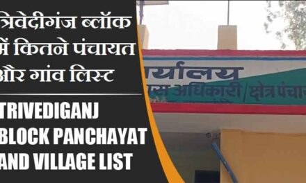 त्रिवेदीगंज ब्लॉक में कितने पंचायत और गांव लिस्ट | Trivediganj Block Panchayat and Village List