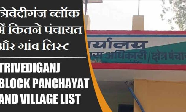 त्रिवेदीगंज ब्लॉक में कितने पंचायत और गांव लिस्ट | Trivediganj Block Panchayat and Village List