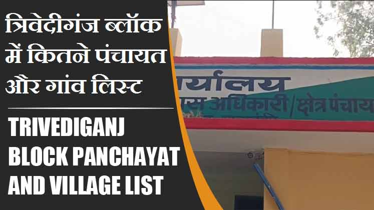 त्रिवेदीगंज ब्लॉक में कितने पंचायत और गांव लिस्ट | Trivediganj Block Panchayat and Village List
