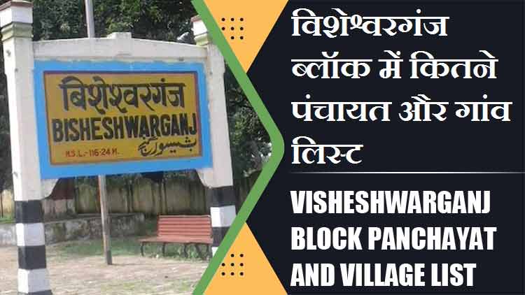 विशेश्वरगंज ब्लॉक में कितने पंचायत और गांव लिस्ट | Visheshwarganj Block Panchayat and Village List