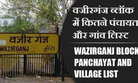 वजीरगंज ब्लॉक में कितने पंचायत और गांव लिस्ट | Wazirganj Block Panchayat and Village List