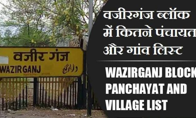 वजीरगंज ब्लॉक में कितने पंचायत और गांव लिस्ट | Wazirganj Block Panchayat and Village List