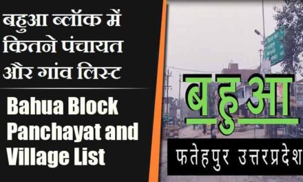 बहुआ ब्लॉक में कितने पंचायत और गांव लिस्ट | Bahua Block Panchayat and Village List
