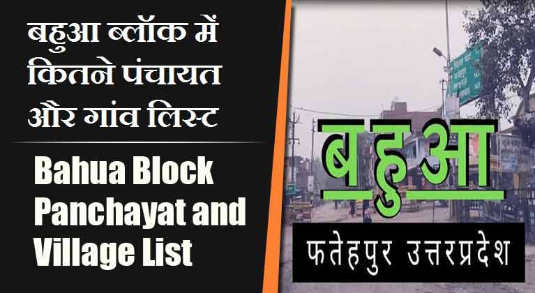 बहुआ ब्लॉक में कितने पंचायत और गांव लिस्ट | Bahua Block Panchayat and Village List