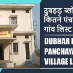 दुबहड़ ब्लॉक में कितने पंचायत और गांव लिस्ट | Dubhar Block Panchayat and Village List